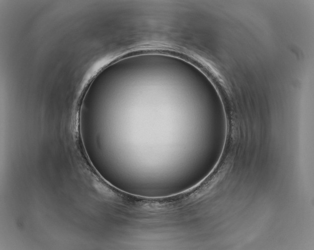 X0000112101366200908041502