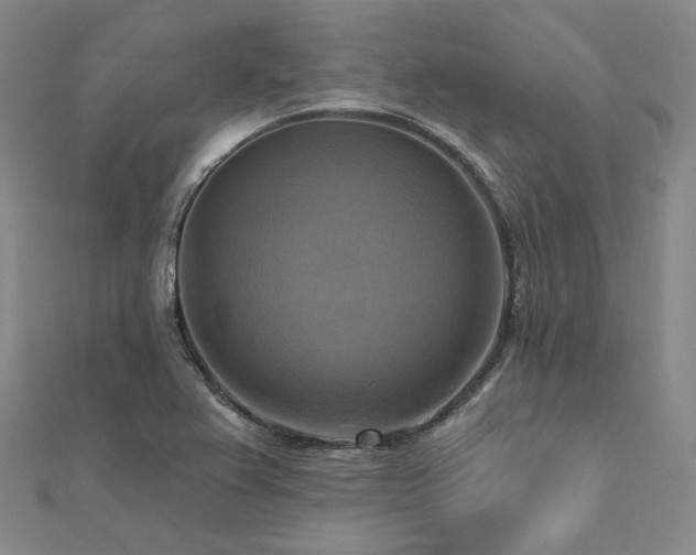 X0000112101367200908041502