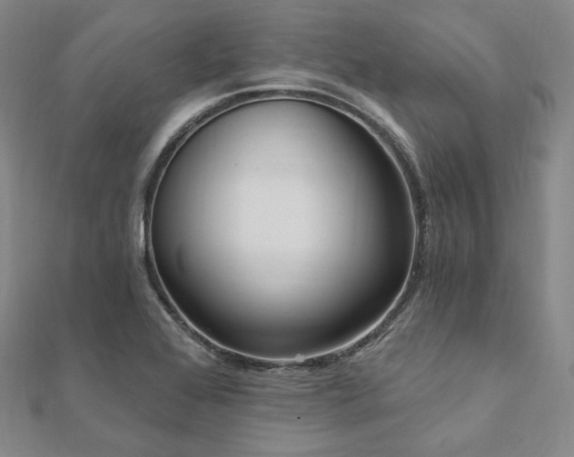 X0000112101368200908041502