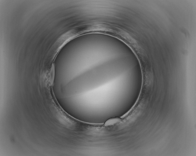 X0000112101369200908041502