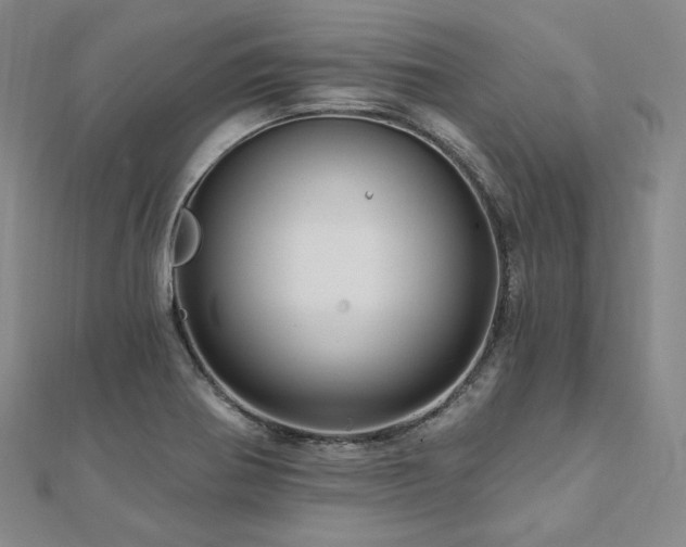 X0000112101370200908041502