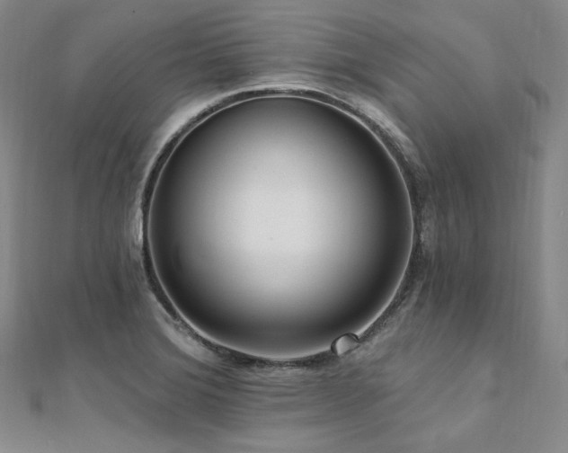 X0000112101372200908041502