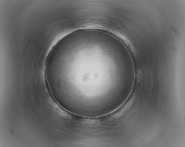 X0000112101374200908041502