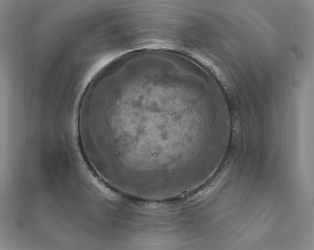 X0000112101375200908041502