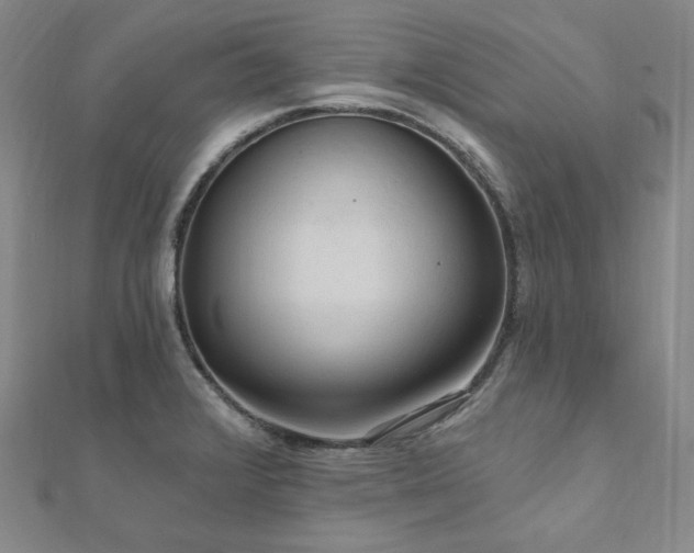 X0000112101376200908041502