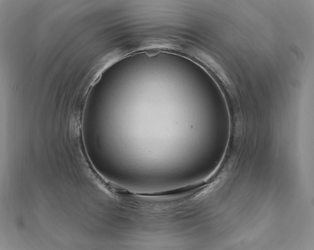 X0000112101377200908041502