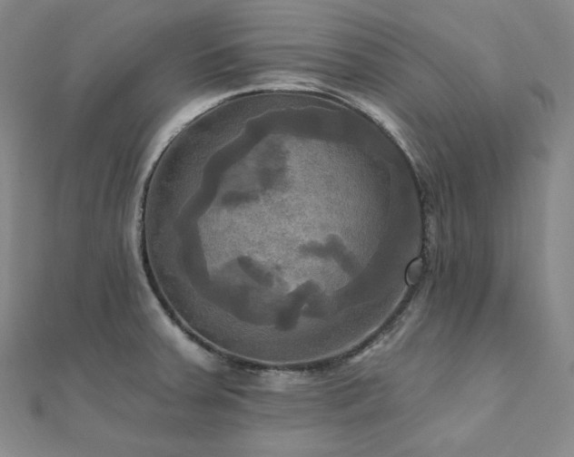 X0000112101379200908041502