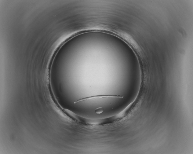X0000112101380200908041502