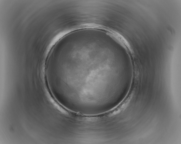 X0000112101381200908041502