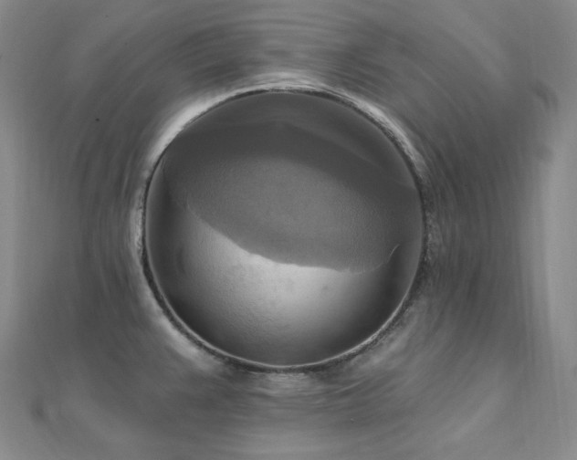 X0000112101383200908041502