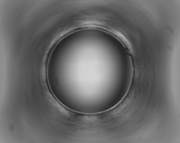 X0000112101384200908041502