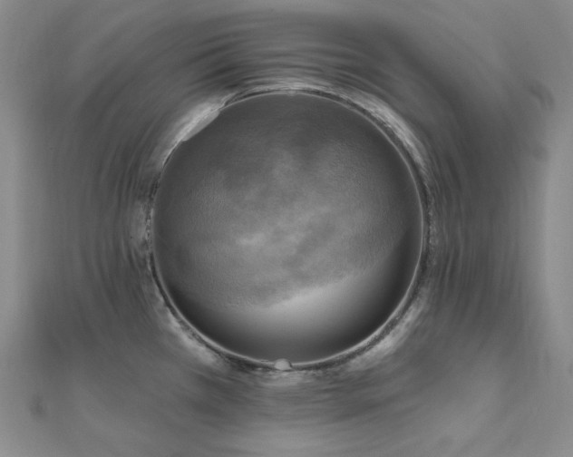 X0000112101385200908041502