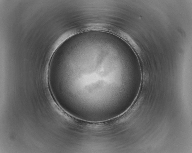 X0000112101386200908041502