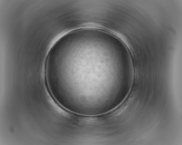 X0000112101387200908041502