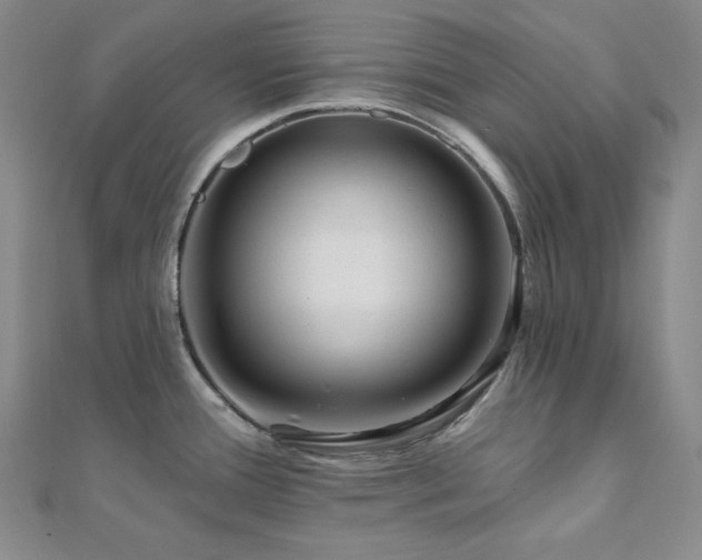 X0000112101388200908041502