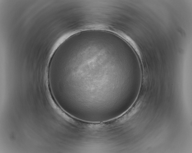 X0000112101389200908041502