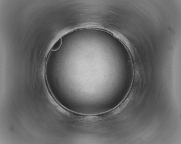 X0000112101390200908041502