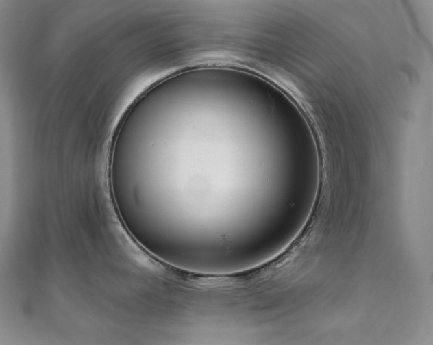 X0000112101392200908041502