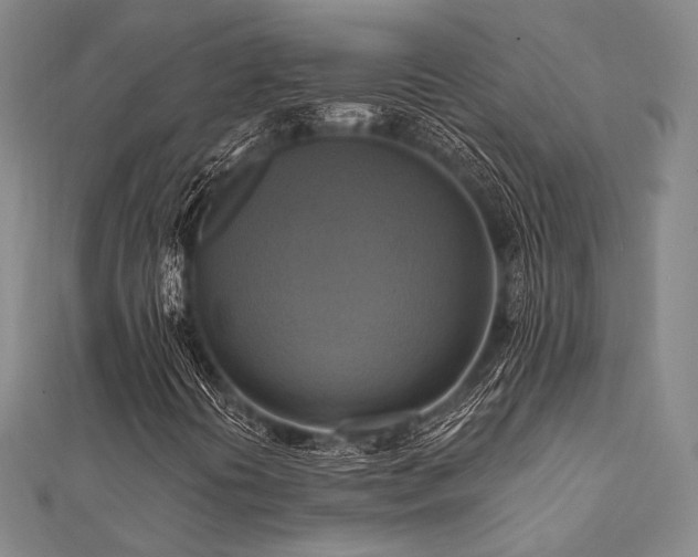X0000112101394200908041501