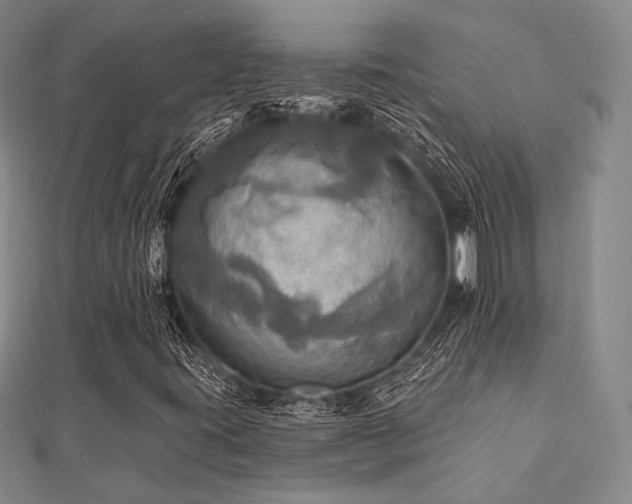 X0000112101395200908041501
