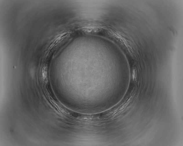 X0000112101396200908041501
