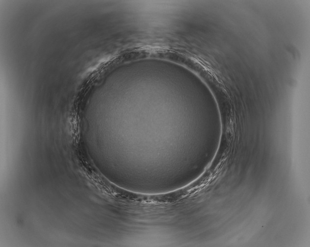 X0000112101398200908041501