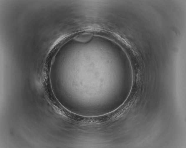 X0000112101400200908041501