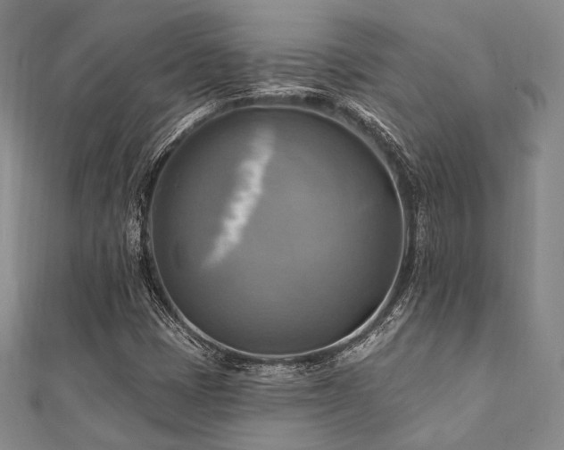 X0000112101401200908041501
