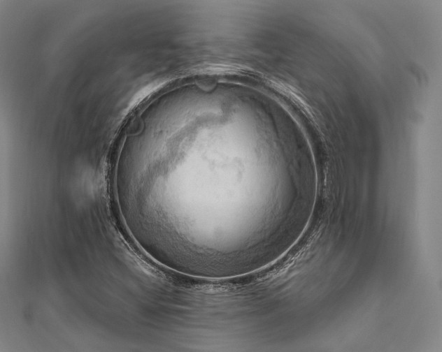 X0000112101404200908041501