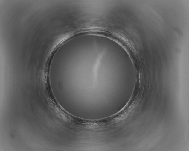 X0000112101405200908041501