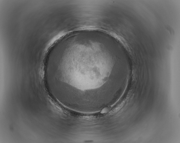 X0000112101406200908041501