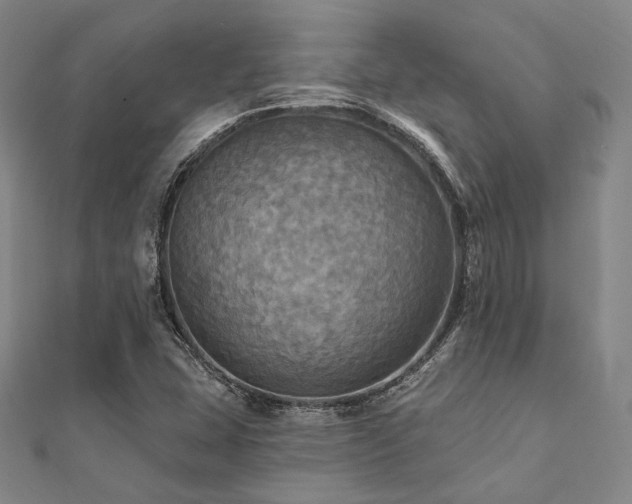 X0000112101407200908041501