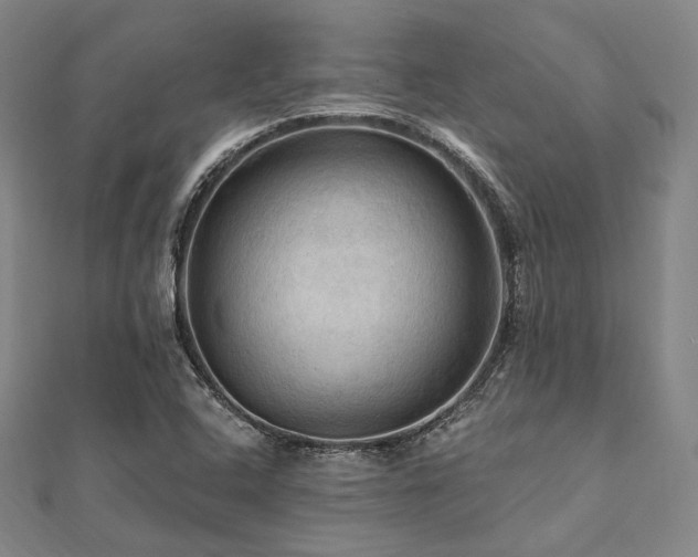 X0000112101408200908041501