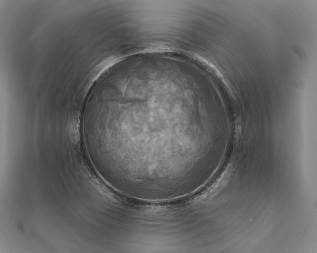 X0000112101409200908041502