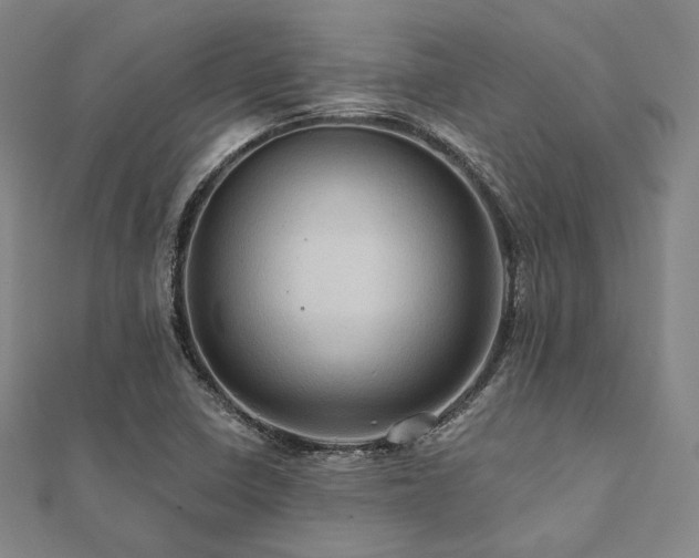 X0000112101410200908041502