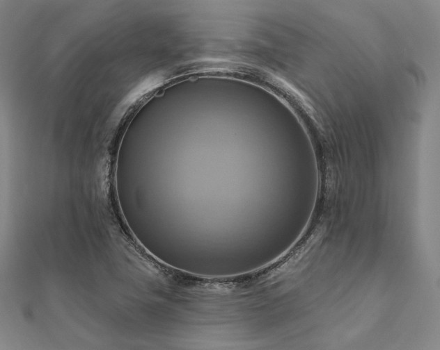 X0000112101411200908041502
