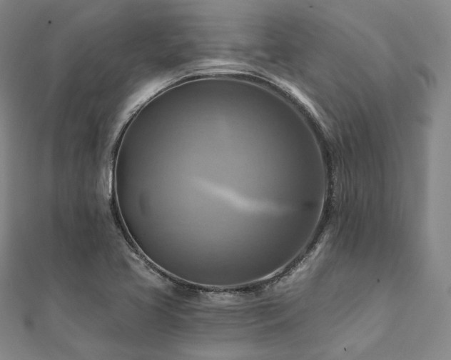 X0000112101413200908041502