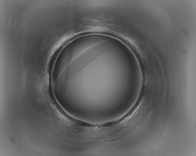 X0000112101414200908041502