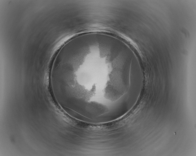 X0000112101415200908041502