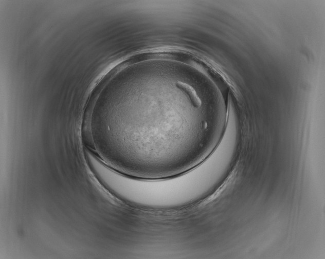 X0000112101417200908041502
