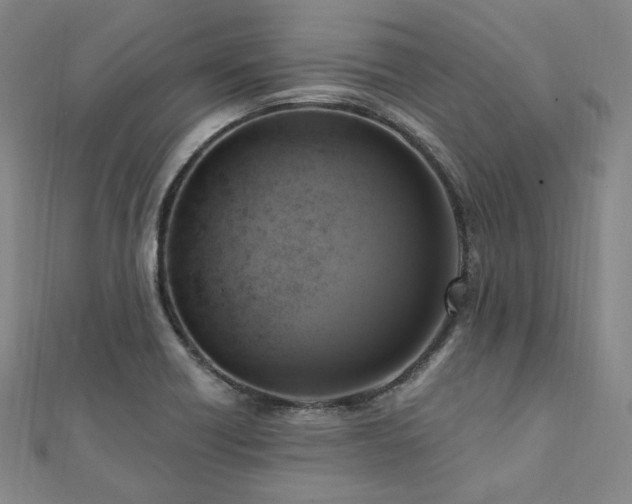 X0000112101418200908041502