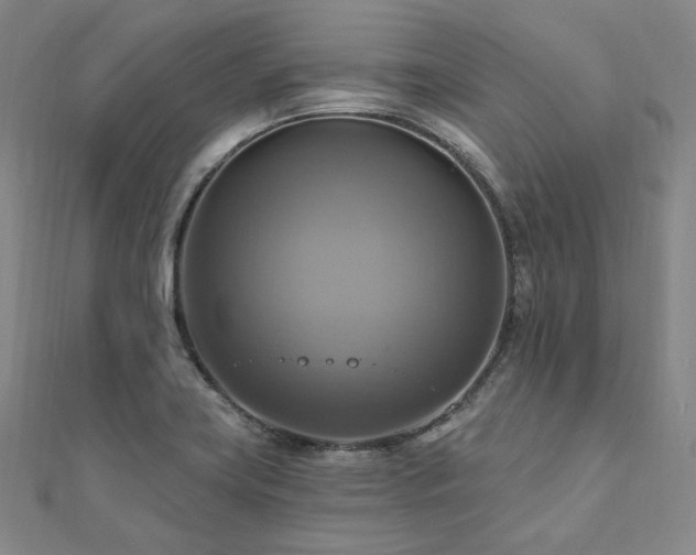 X0000112101419200908041502