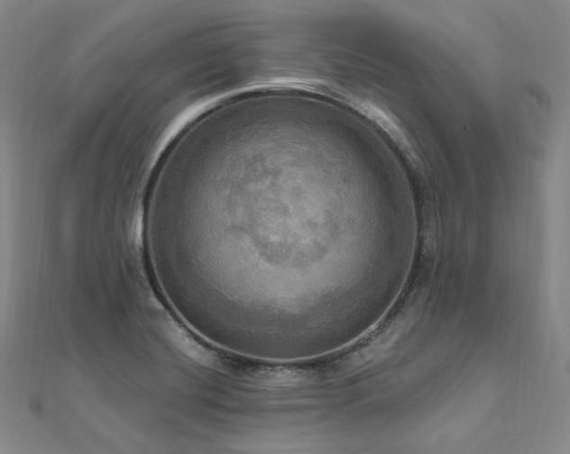 X0000112101420200908041502