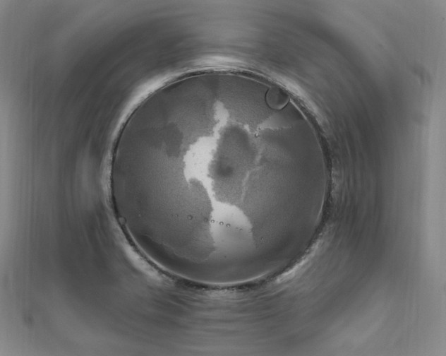 X0000112101421200908041502