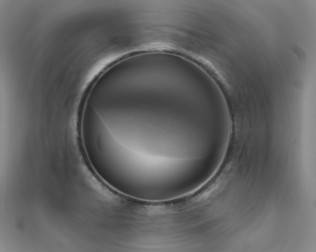 X0000112101422200908041502