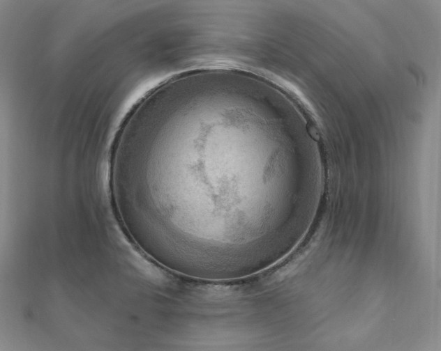X0000112101424200908041502