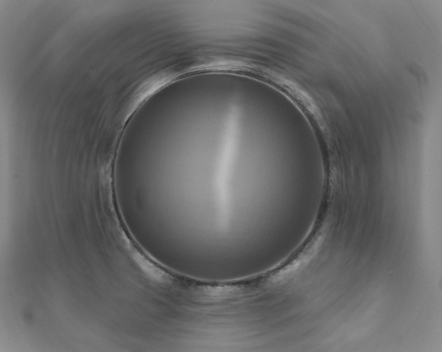 X0000112101425200908041502