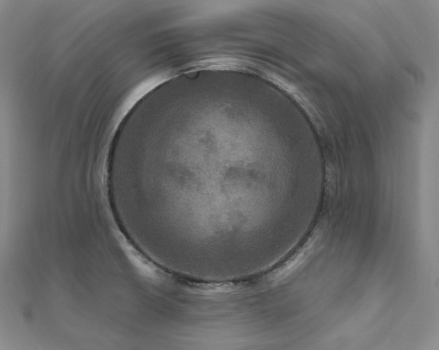 X0000112101426200908041502