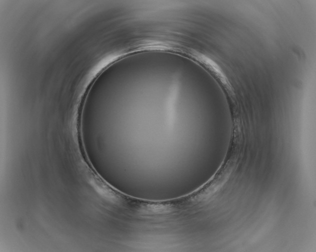 X0000112101427200908041502