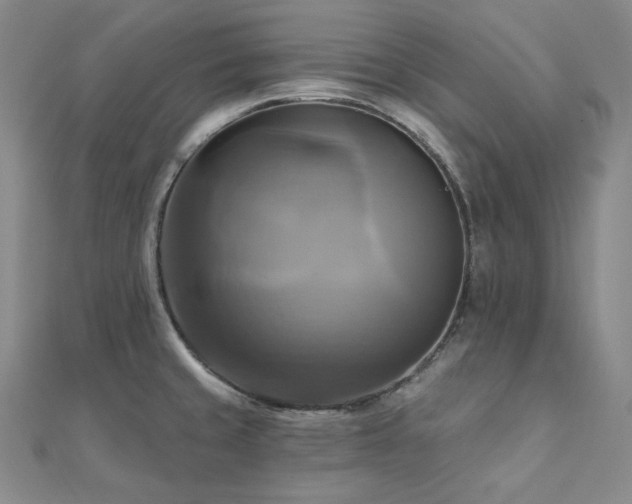 X0000112101429200908041502